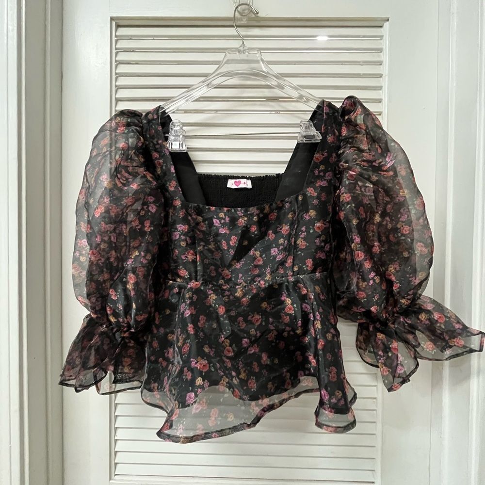 BUDDY LOVE 💗 Floral Sheer Puff Sleeve 💗Top. M